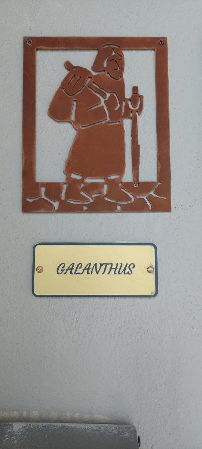Galanthus Appartement Aosta Buitenkant foto